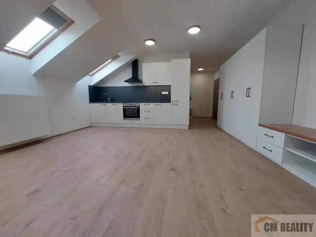 Pronájem bytu 1+kk, Olomouc - Hodolany, Holická, 38 m2