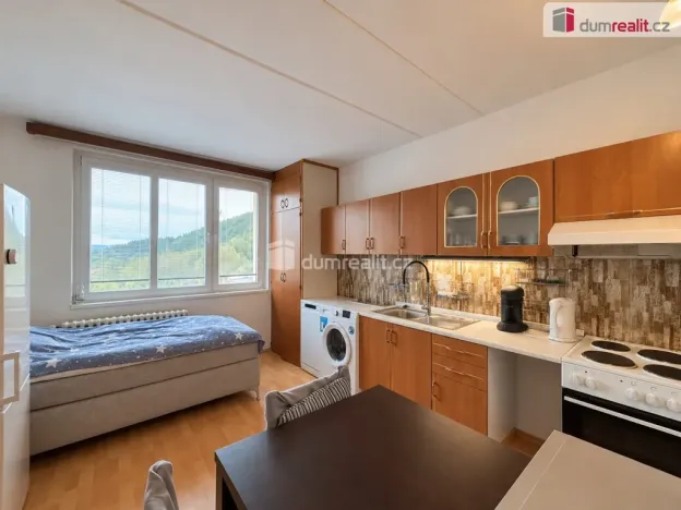Prodej bytu 1+1, Oloví, náměstí Horní, 38 m2