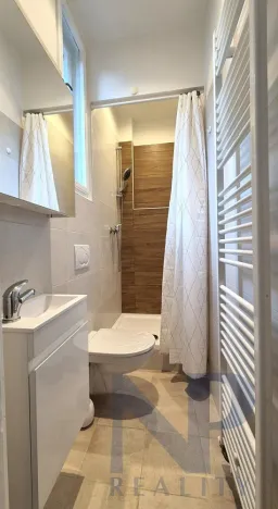 Pronájem bytu 1+kk, Praha - Libeň, V Holešovičkách, 20 m2