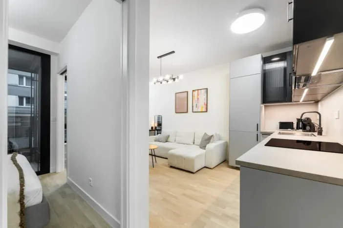 Prodej bytu 2+kk, Praha - Žižkov, Kaplířova, 45 m2