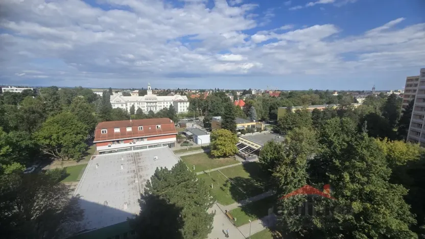 Prodej bytu 2+1, Opava - Předměstí, Haškova, 52 m2