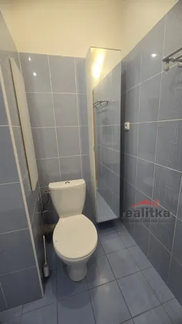Prodej bytu 2+1, Opava - Předměstí, Haškova, 52 m2