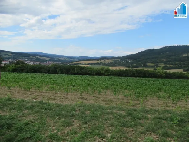 Prodej pole, Sušice, Hrádecká, 10640 m2
