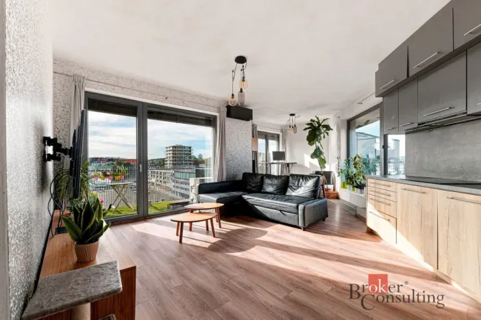 Pronájem bytu 2+kk, Plzeň - Východní Předměstí, Papírnická, 63 m2