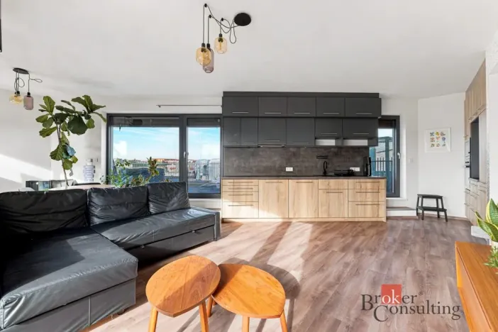 Pronájem bytu 2+kk, Plzeň - Východní Předměstí, Papírnická, 63 m2