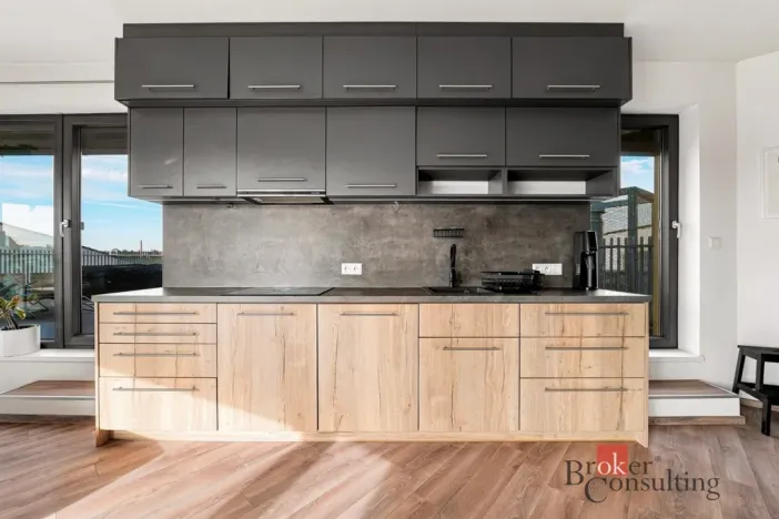 Pronájem bytu 2+kk, Plzeň - Východní Předměstí, Papírnická, 63 m2