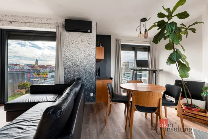 Pronájem bytu 2+kk, Plzeň - Východní Předměstí, Papírnická, 63 m2