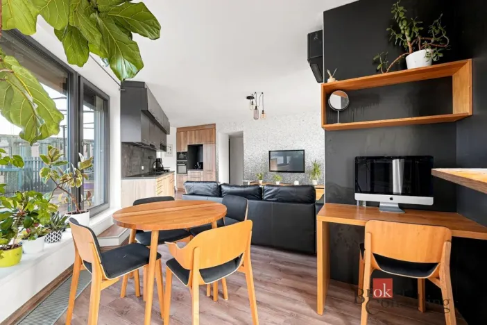 Pronájem bytu 2+kk, Plzeň - Východní Předměstí, Papírnická, 63 m2