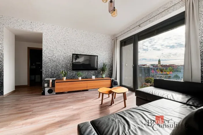 Pronájem bytu 2+kk, Plzeň - Východní Předměstí, Papírnická, 63 m2