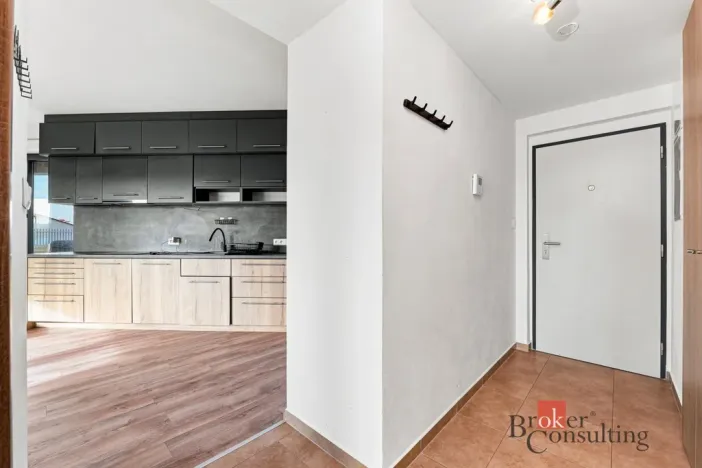 Pronájem bytu 2+kk, Plzeň - Východní Předměstí, Papírnická, 63 m2