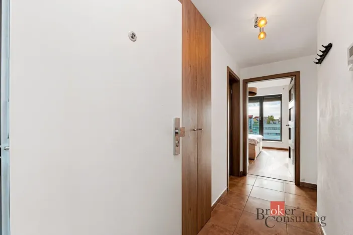 Pronájem bytu 2+kk, Plzeň - Východní Předměstí, Papírnická, 63 m2