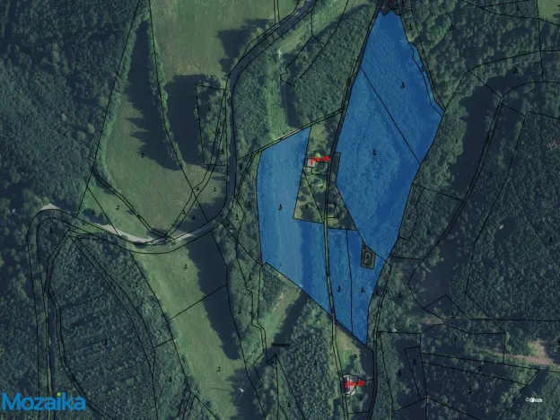 Prodej lesa, Strážná, 40093 m2
