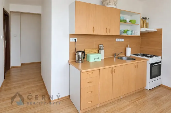 Prodej bytu 2+1, Liberec, Slovenského národního povstání, 50 m2