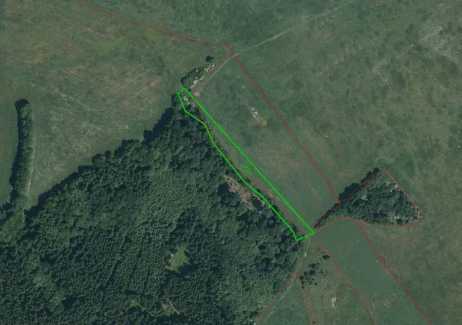 Prodej pole, Tachov, 5912 m2