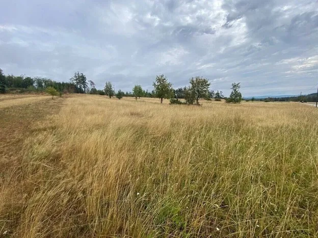 Prodej pozemku, Český Rudolec - Matějovec, 3408 m2