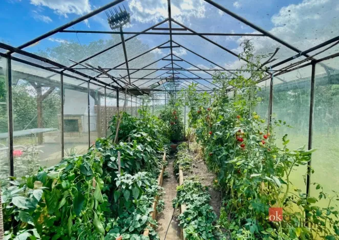 Pronájem rodinného domu, Čejkovice, 162 m2