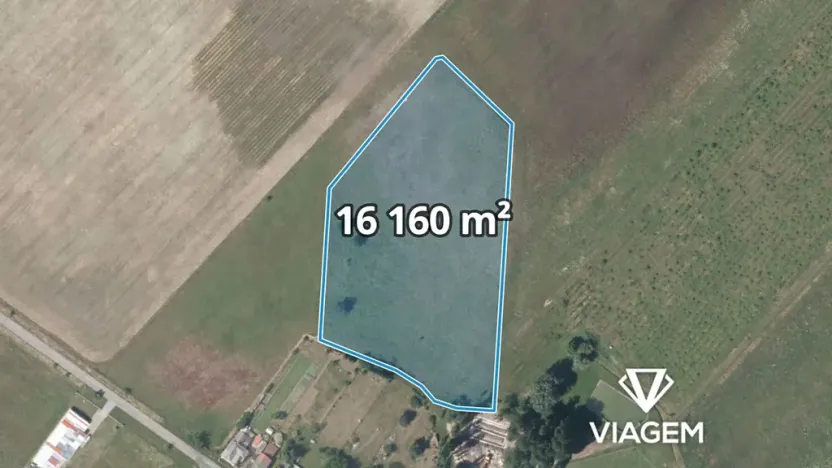Prodej podílu pole, Horka I, 8080 m2