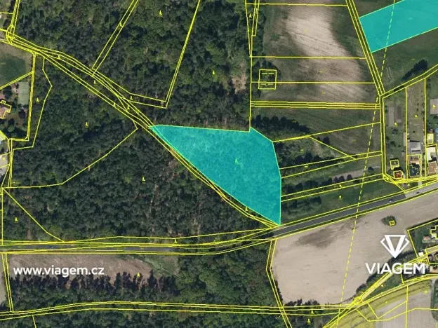 Prodej podílu lesa, Dašice, 5360 m2