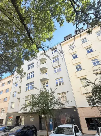 Prodej bytu 2+1, Brno - Veveří, Gorkého, 77 m2