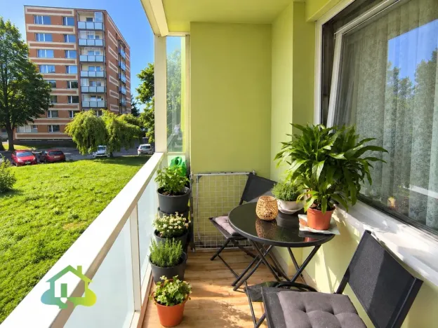 Prodej bytu 2+kk, Hořice, Pod Lipou, 43 m2