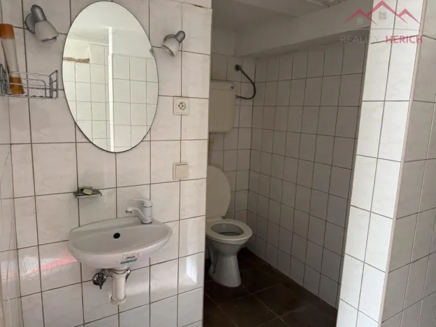 Prodej vícegeneračního domu, Jílové - Martiněves, Dlouhá, 400 m2