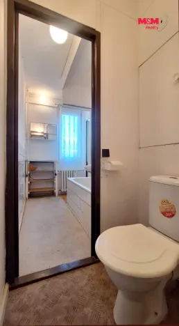 Prodej bytu 3+1, Hradec Králové - Slezské Předměstí, Gagarinova, 61 m2