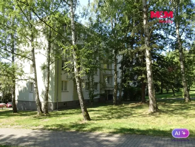 Prodej bytu 2+1, Orlová - Lutyně, Vojtěcha Martínka, 53 m2