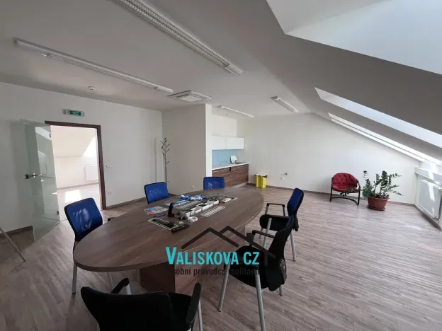 Pronájem ordinace, Hulín, Vrchlického, 300 m2