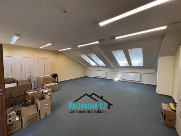 Pronájem ordinace, Hulín, Vrchlického, 300 m2