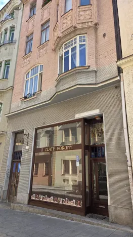 Pronájem obchodního prostoru, Brno, Radnická, 106 m2