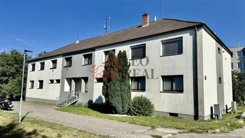 Prodej bytu 1+1, Staré Město, Velehradská, 30 m2