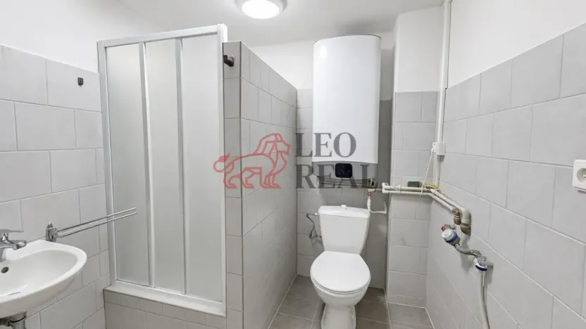 Prodej bytu 1+1, Staré Město, Velehradská, 30 m2