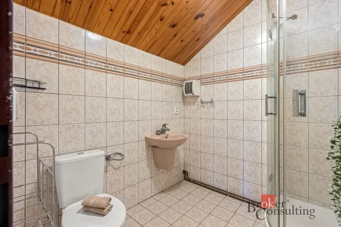 Prodej vily, Netvořice - Maskovice, 450 m2