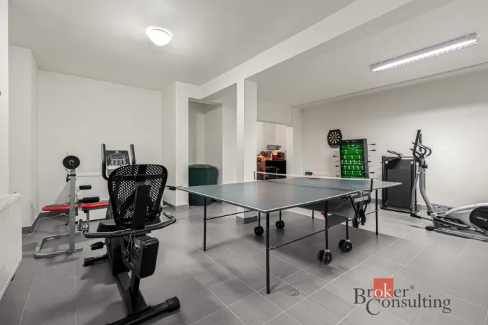Prodej vily, Netvořice - Maskovice, 450 m2