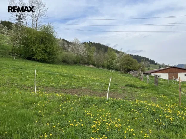 Prodej pozemku pro bydlení, Karolinka, 9166 m2