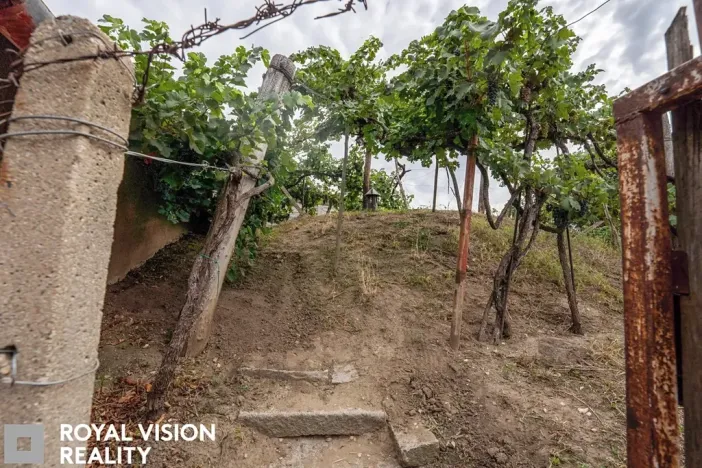 Prodej vinného sklepa, Březí, 76 m2