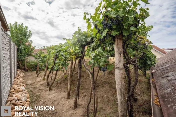Prodej vinného sklepa, Březí, 76 m2
