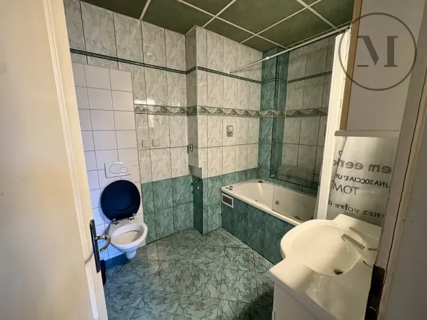 Pronájem bytu 2+kk, České Budějovice, Riegrova, 55 m2