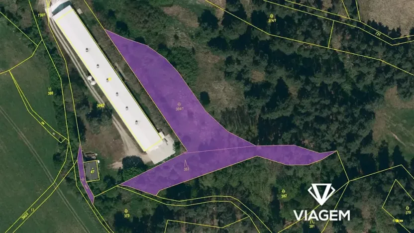 Prodej podílu lesa, Pyšel, 1132 m2