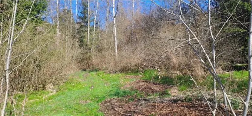 Prodej pozemku, Kraslice, 2460 m2
