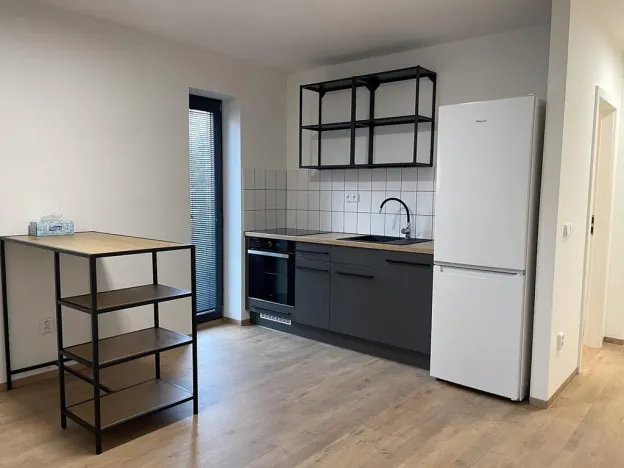 Pronájem bytu 2+kk, Brno - Štýřice, Sovinec, 42 m2