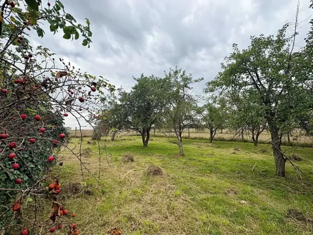 Prodej rodinného domu, Křepenice, 90 m2