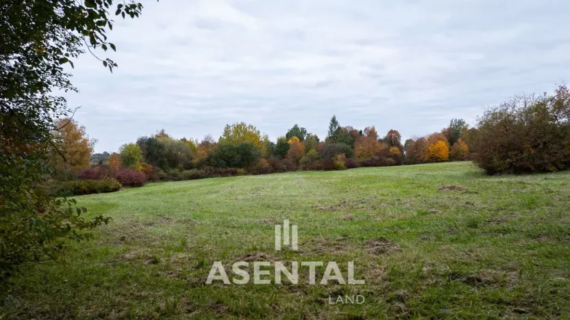 Prodej pozemku, Orlová - Město, Pod Lipou, 43470 m2