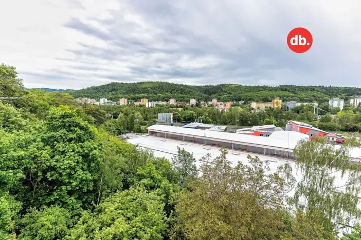 Prodej vily, Karlovy Vary, Sladovnická, 280 m2