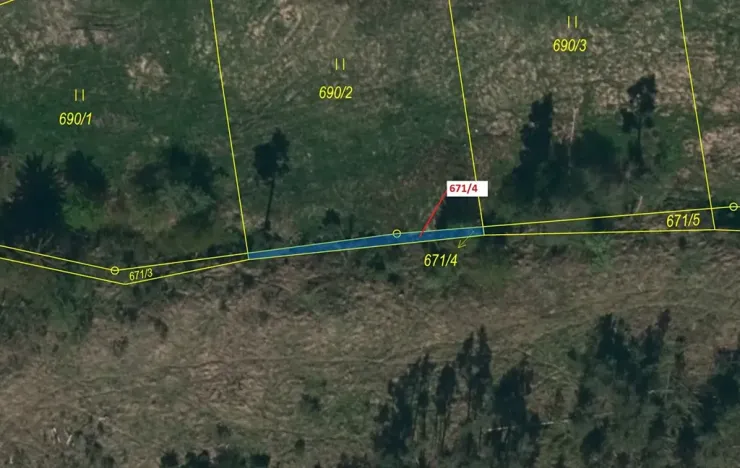 Dražba lesa, Koněšín, 40 m2