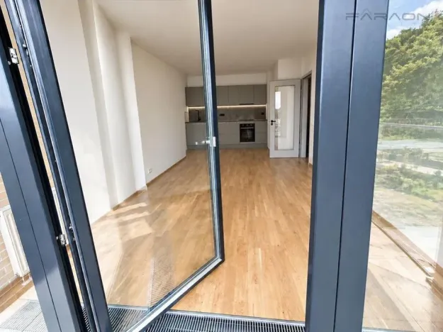 Pronájem bytu 2+kk, Praha - Karlín, Švarcova, 56 m2