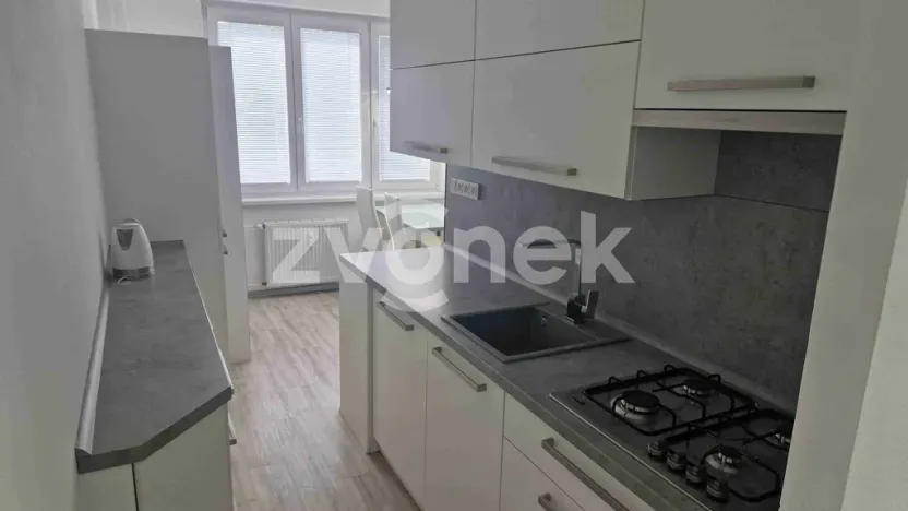 Pronájem bytu 2+1, Staré Město, Kopánky, 55 m2
