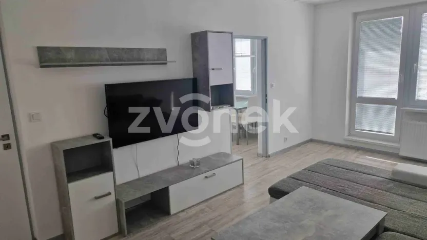 Pronájem bytu 2+1, Staré Město, Kopánky, 55 m2