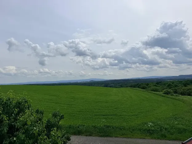 Prodej ubytování, Libá, 800 m2