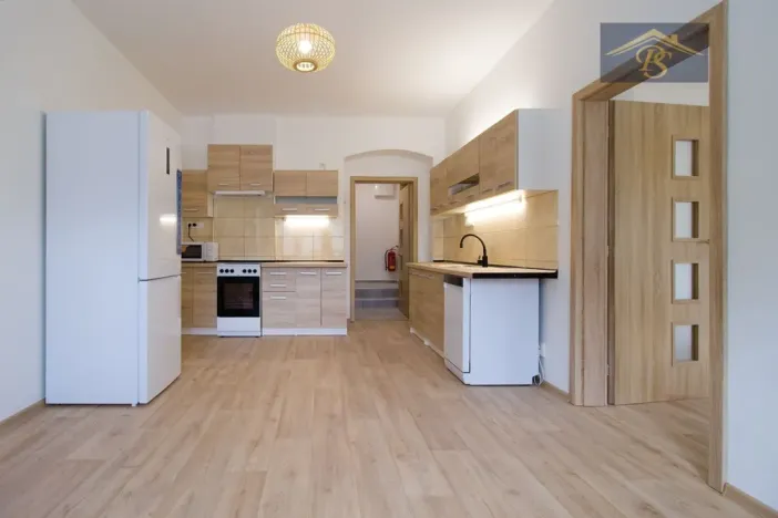 Pronájem bytu 1+1, Ústí nad Labem - Neštěmice, Železná, 57 m2